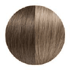 Sun Kissed Balayage colour swatch